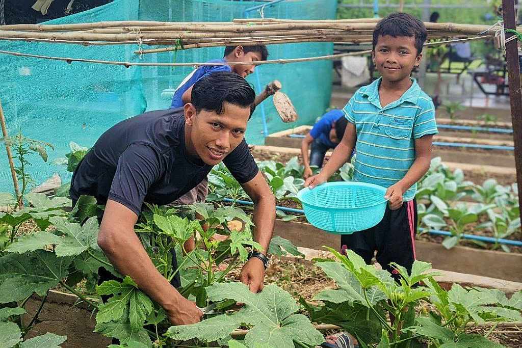 Cabbages and Eggplants: Horticulture at Little Hearts